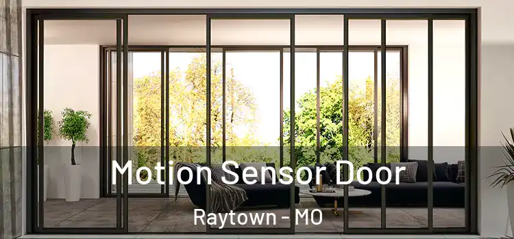 Motion Sensor Door Raytown - MO