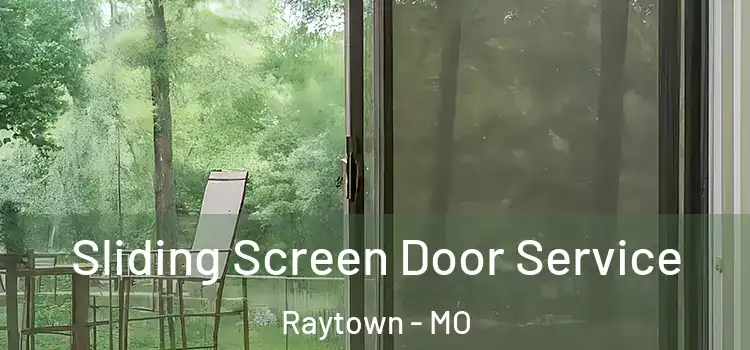 Sliding Screen Door Service Raytown - MO